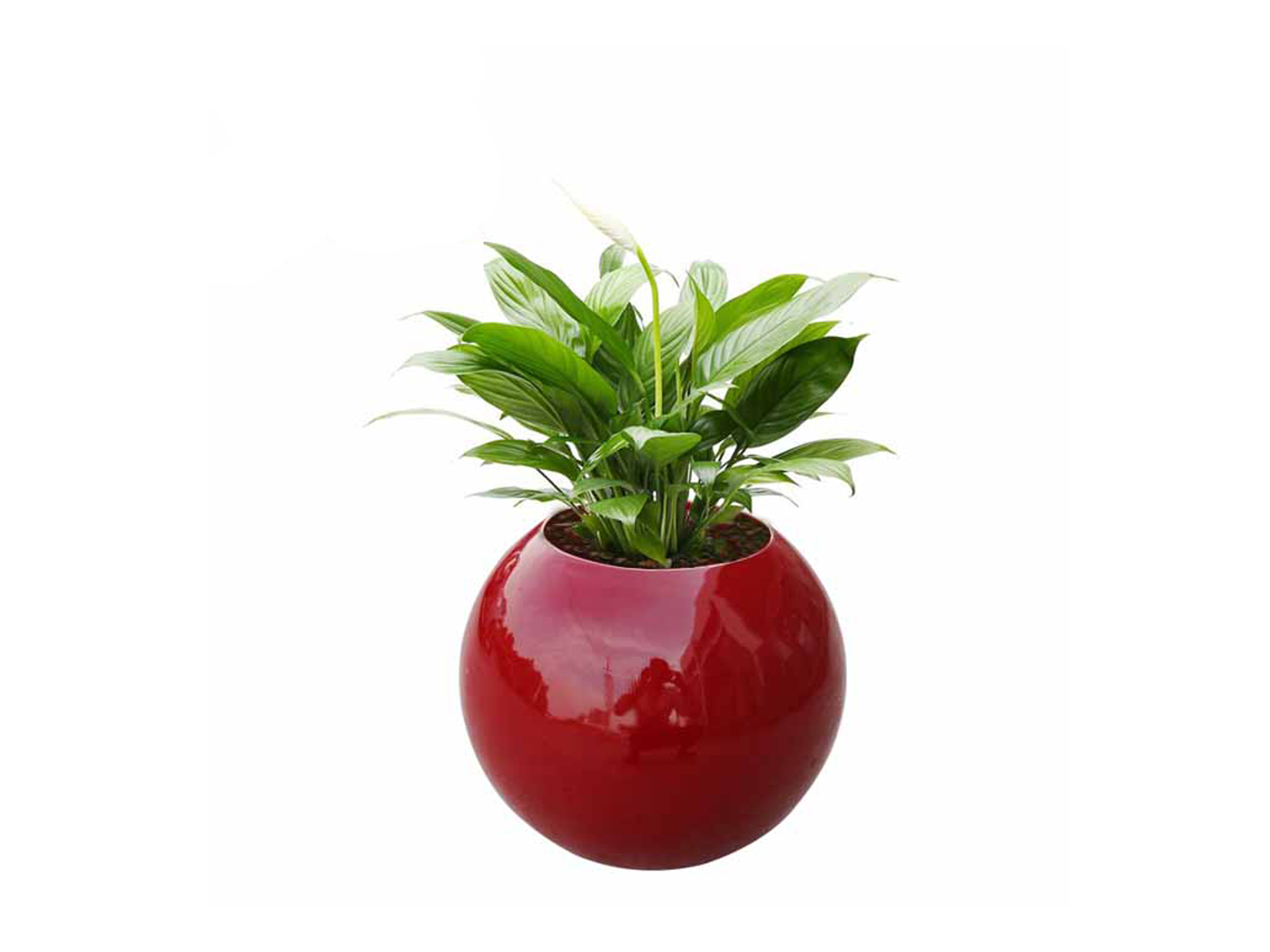 Anvato Blumenkübel